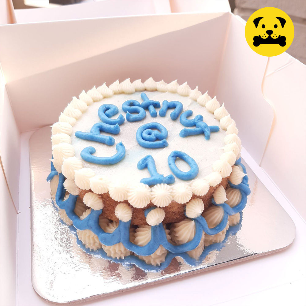 4″ Mini Pet Cake