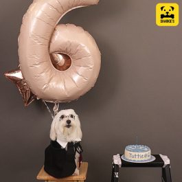 Big Paw Print Pet Birthday Cake