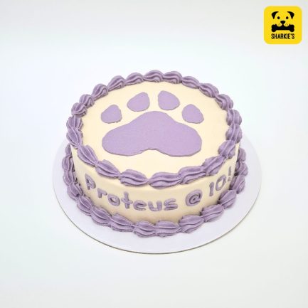 Big pawprint pet birthday cake in purple