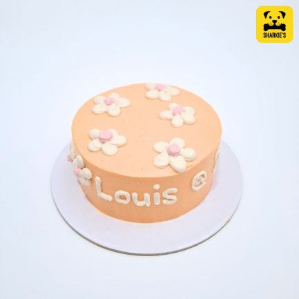 dainty daisy pet birthday cake in orange