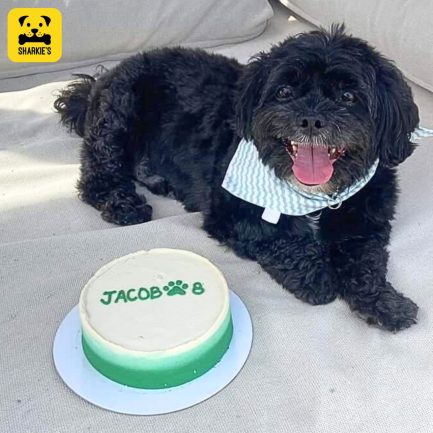 green gradient pet birthday cake