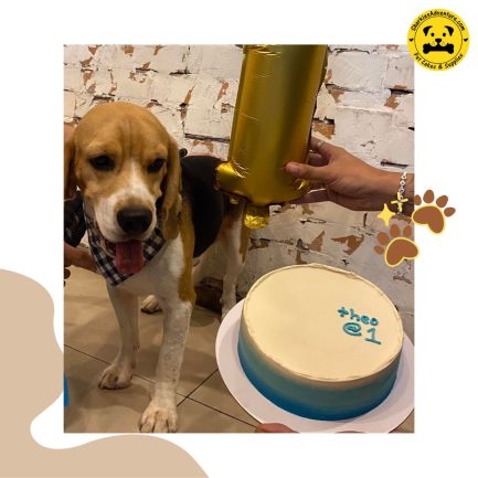 pet dog beagle birthday celebration blue gradient cake