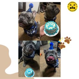 Big Paw Print Pet Birthday Cake