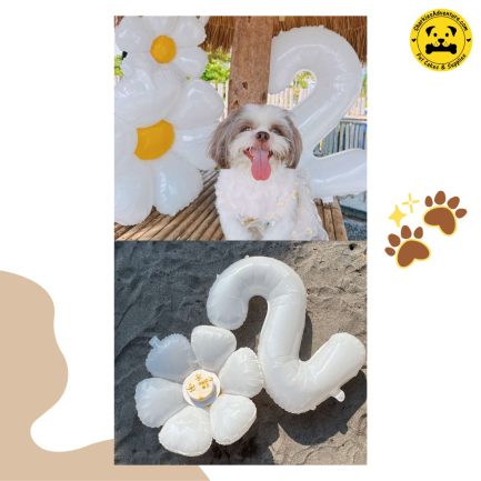 daisies on white pet cake for dog sand cats