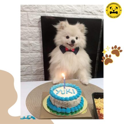 pomeranion birthday cake, blue pet dog cake with candles