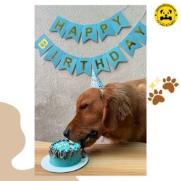 Tofu Noodles Pet Birthday Cake