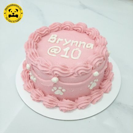 pink vintage minimalist design pet birthday cake