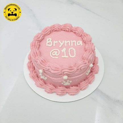 pink vintage minimalist design pet birthday cake