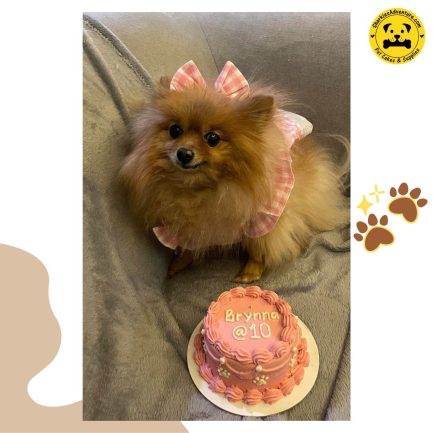 pink vintage minimalist design pet birthday cake