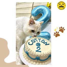 White Cotton & Hearts Pet Cake