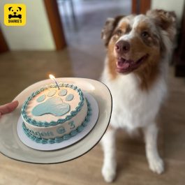 Big Paw Print Pet Birthday Cake