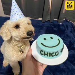 Smiley Face Pet Birthday Cake