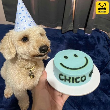 smiley face design pet birthday cake