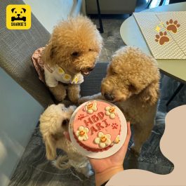 Smiley Flowers Pet Cake