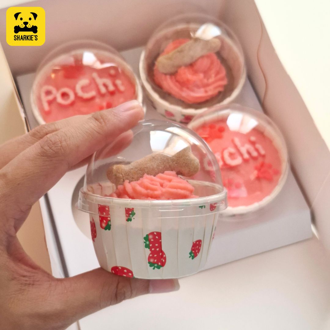 dog bone pup cakes pink