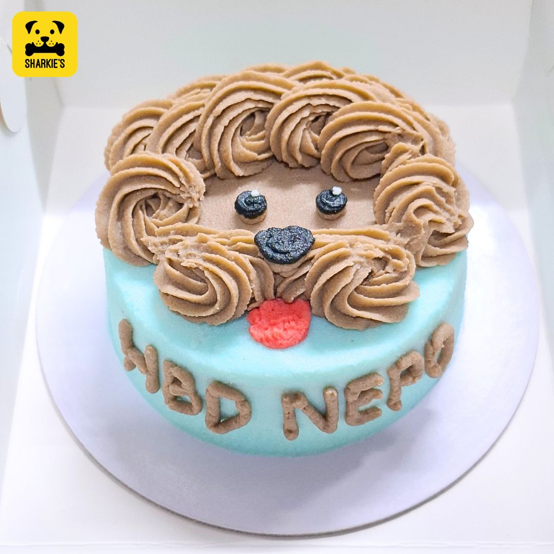 Poodle Face Pet Birthday Cake - Image 4