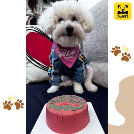 Harry Potter Pet Birthday Cake