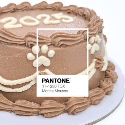 new year 2025 pet friendly cake pantone mocha mousse