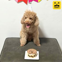 Poodle Face Pet Birthday Cake